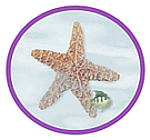 Welcome to The Starfish Shop!